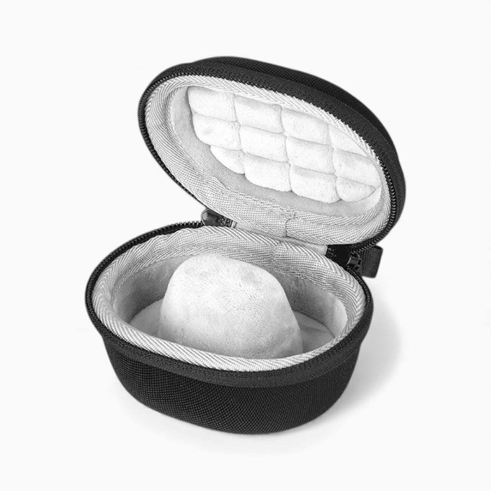 Boîte À Montre Individuelle De Transport